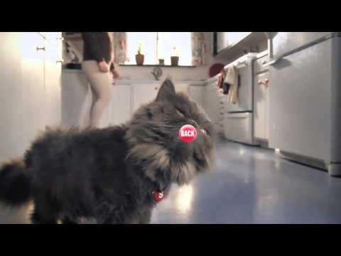 Skittles Touch The Rainbow Cat Lick 2013 Super Bowl Commercial Ad – youtube